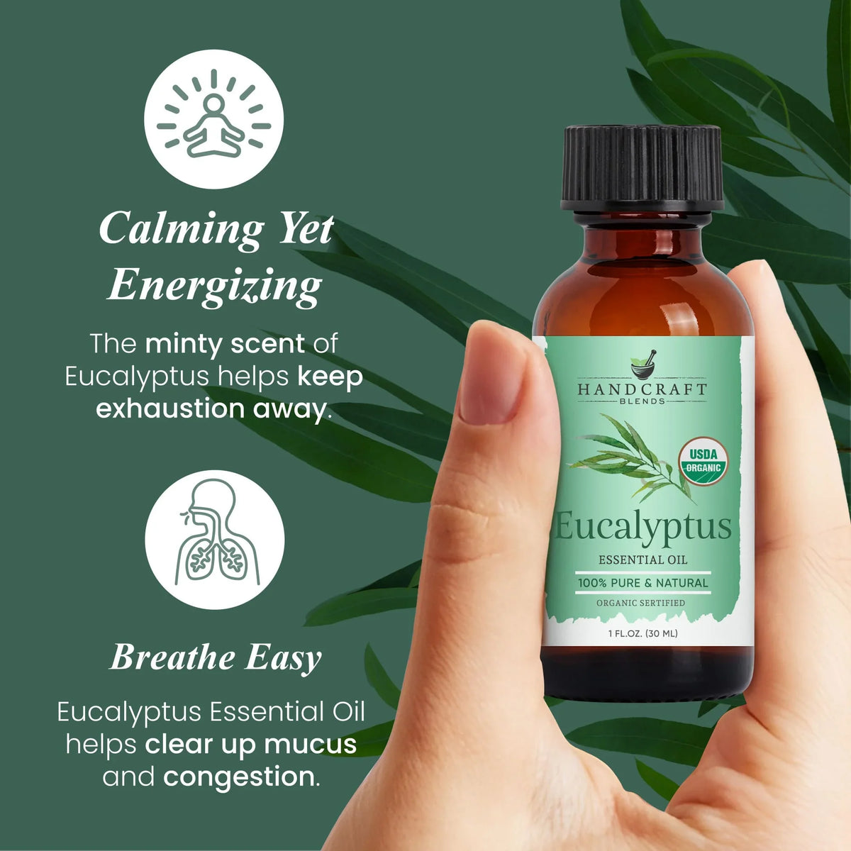 Hand holding bottle of eucalyptus essential oil labeled organic, green leafy background, aromatherapy