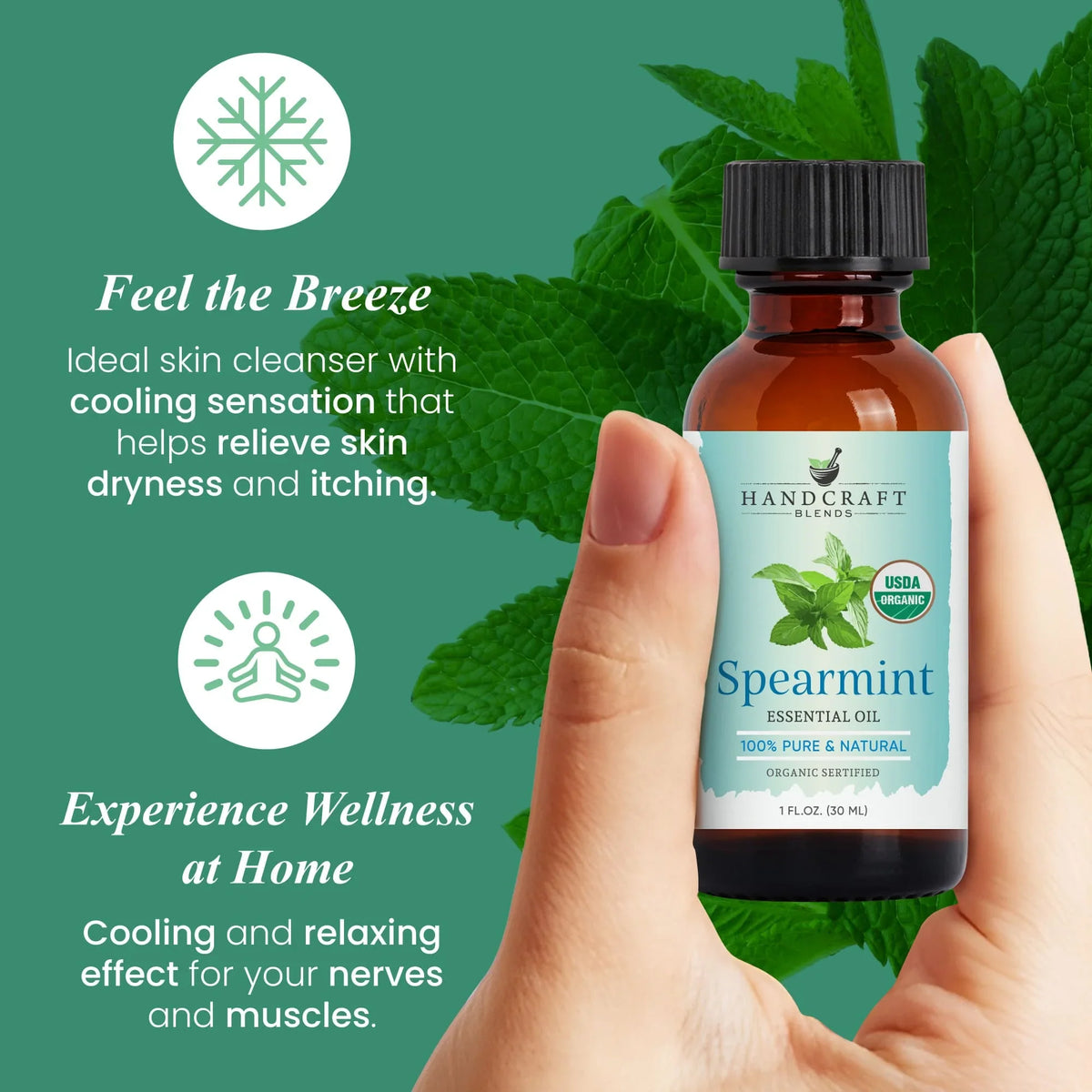 Hand holding a bottle of spearmint essential oil with mint leaves and wellness benefits text.