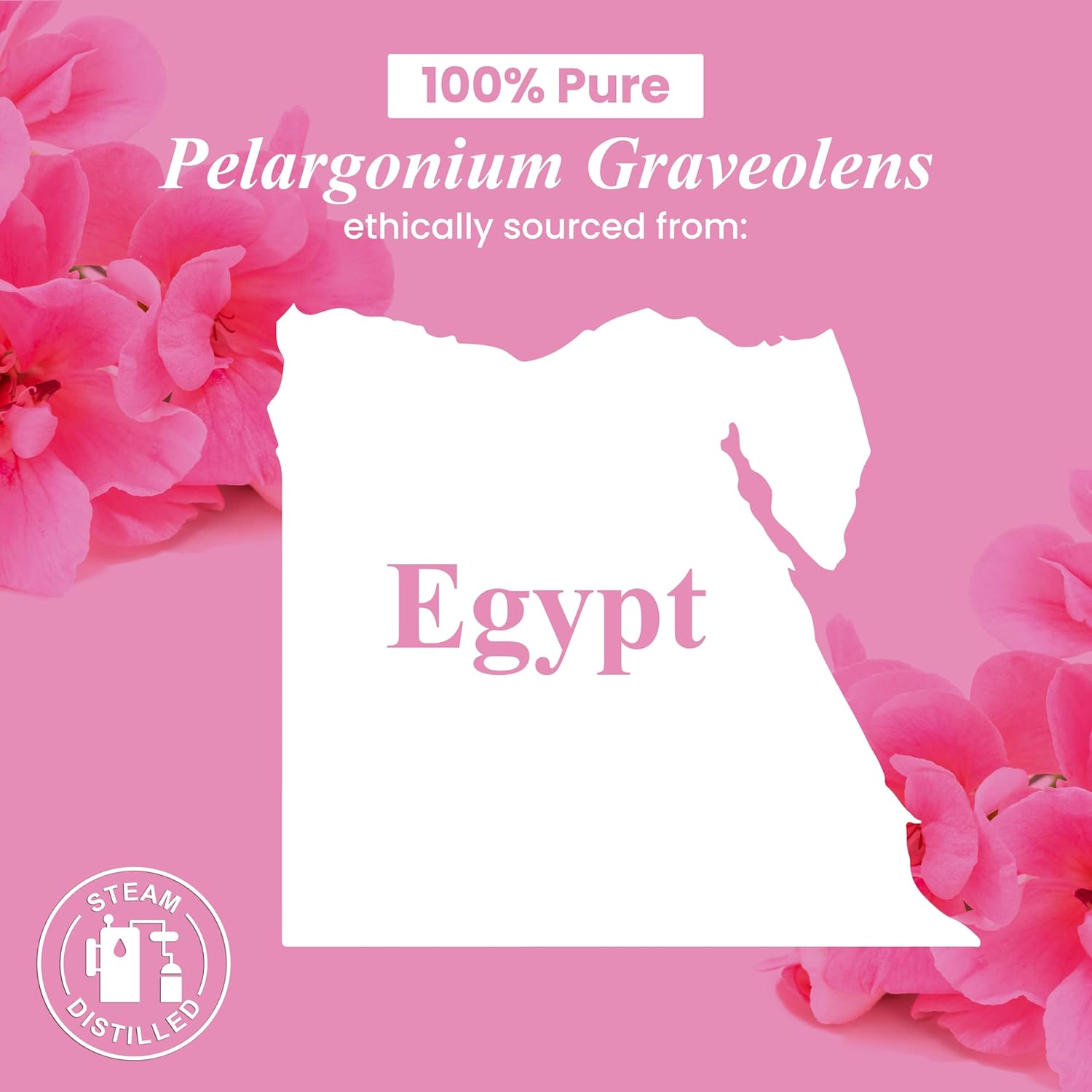 Geranium Essential Oil