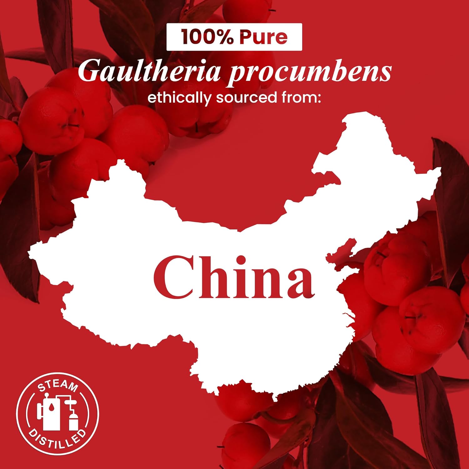 Wintergreen Essential Oil