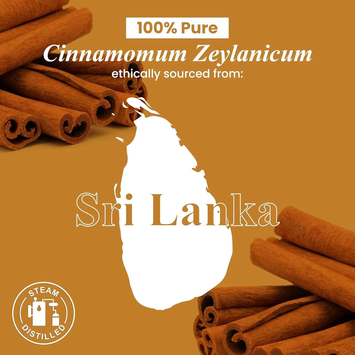 Cinnamon Essential Oil