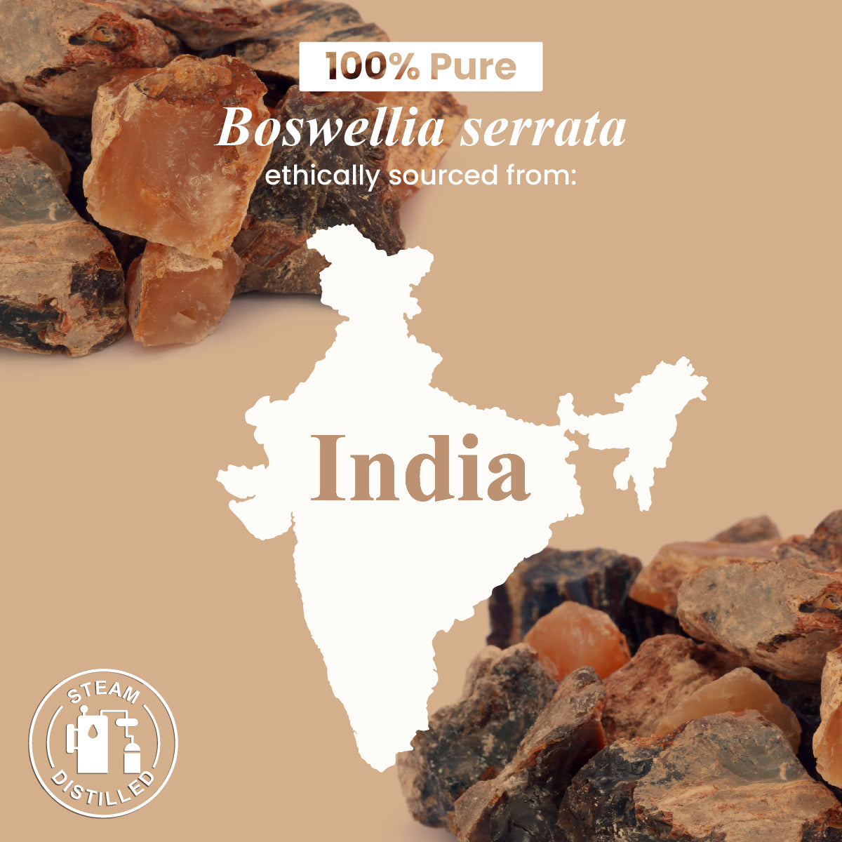 Frankincense Essential Oil