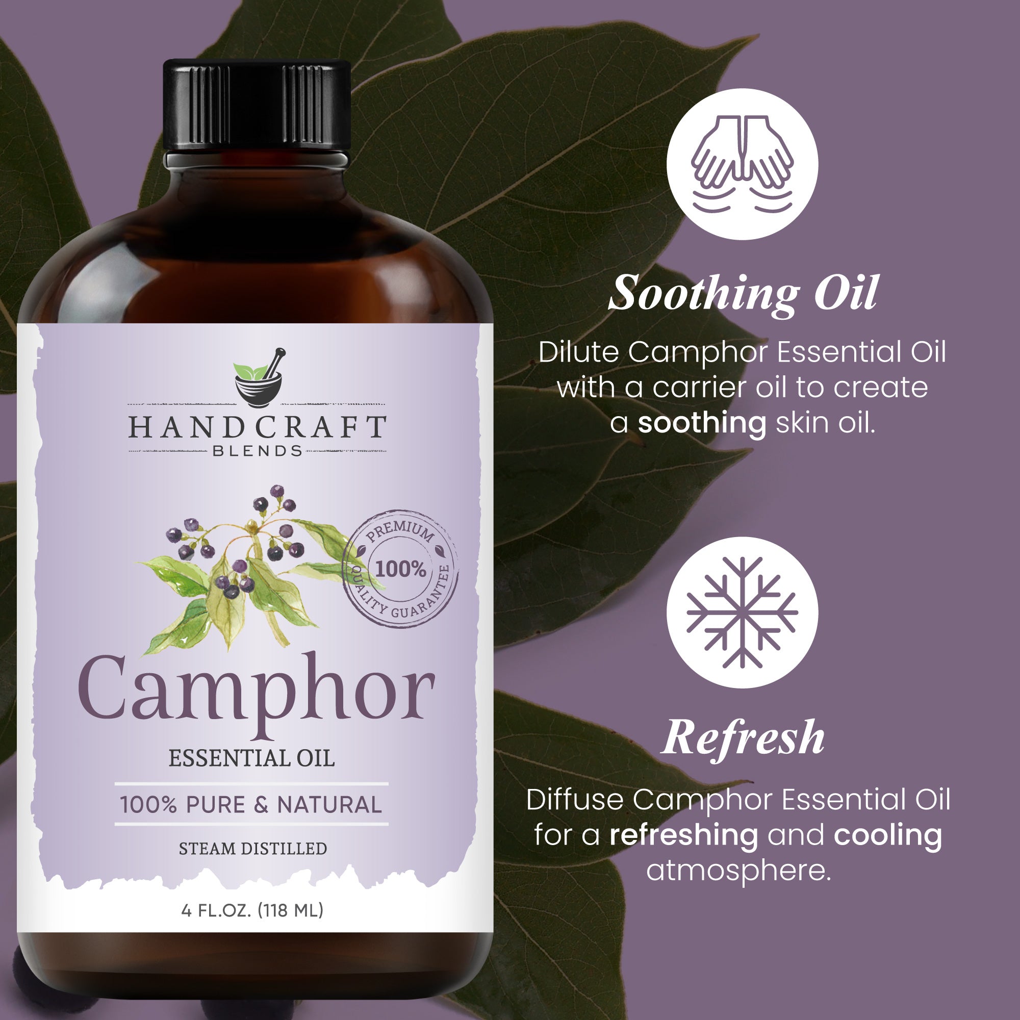 Camphor Essential Oil