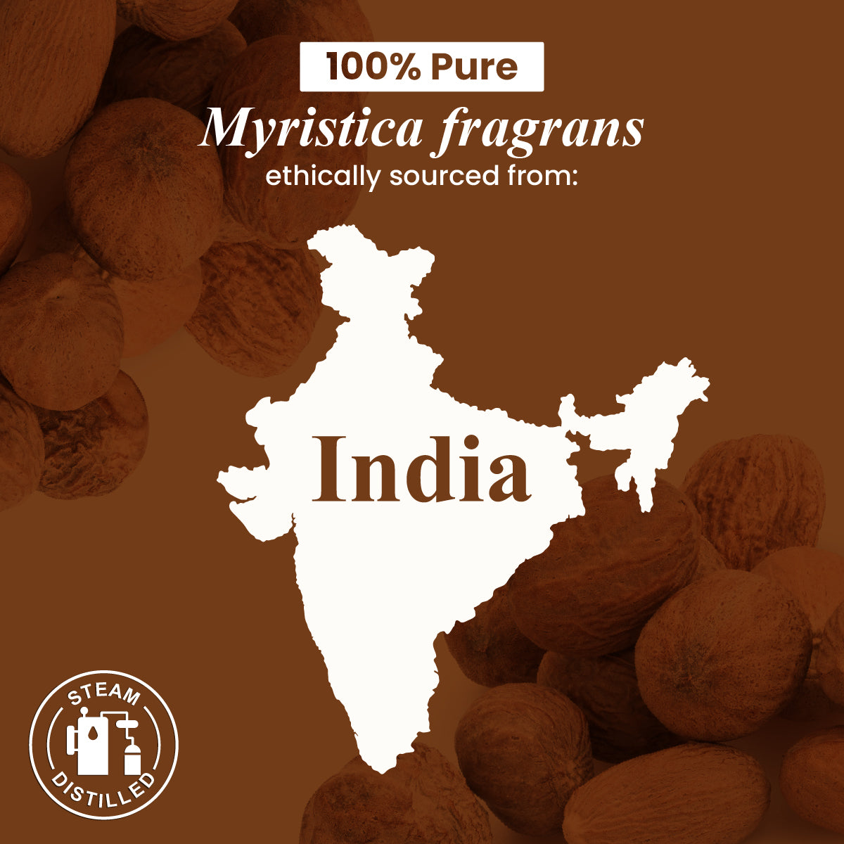 Nutmeg Essential Oil