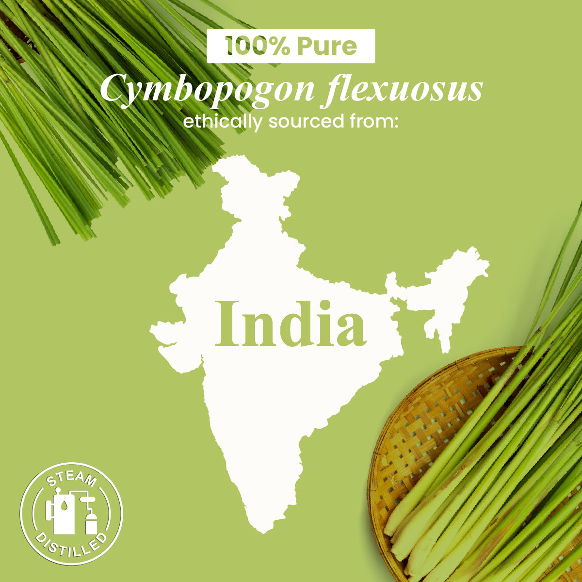 Organic Lemongrass Essential Oil