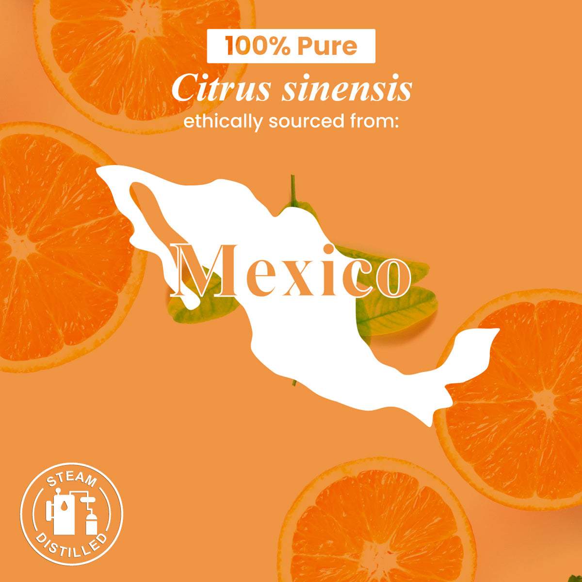 Organic Orange Essential Oil