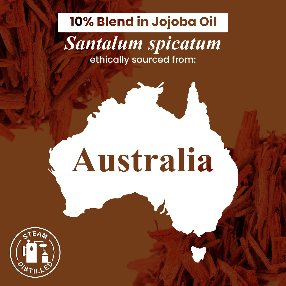 Sandalwood Essential Oil - 10% Blend in Jojoba