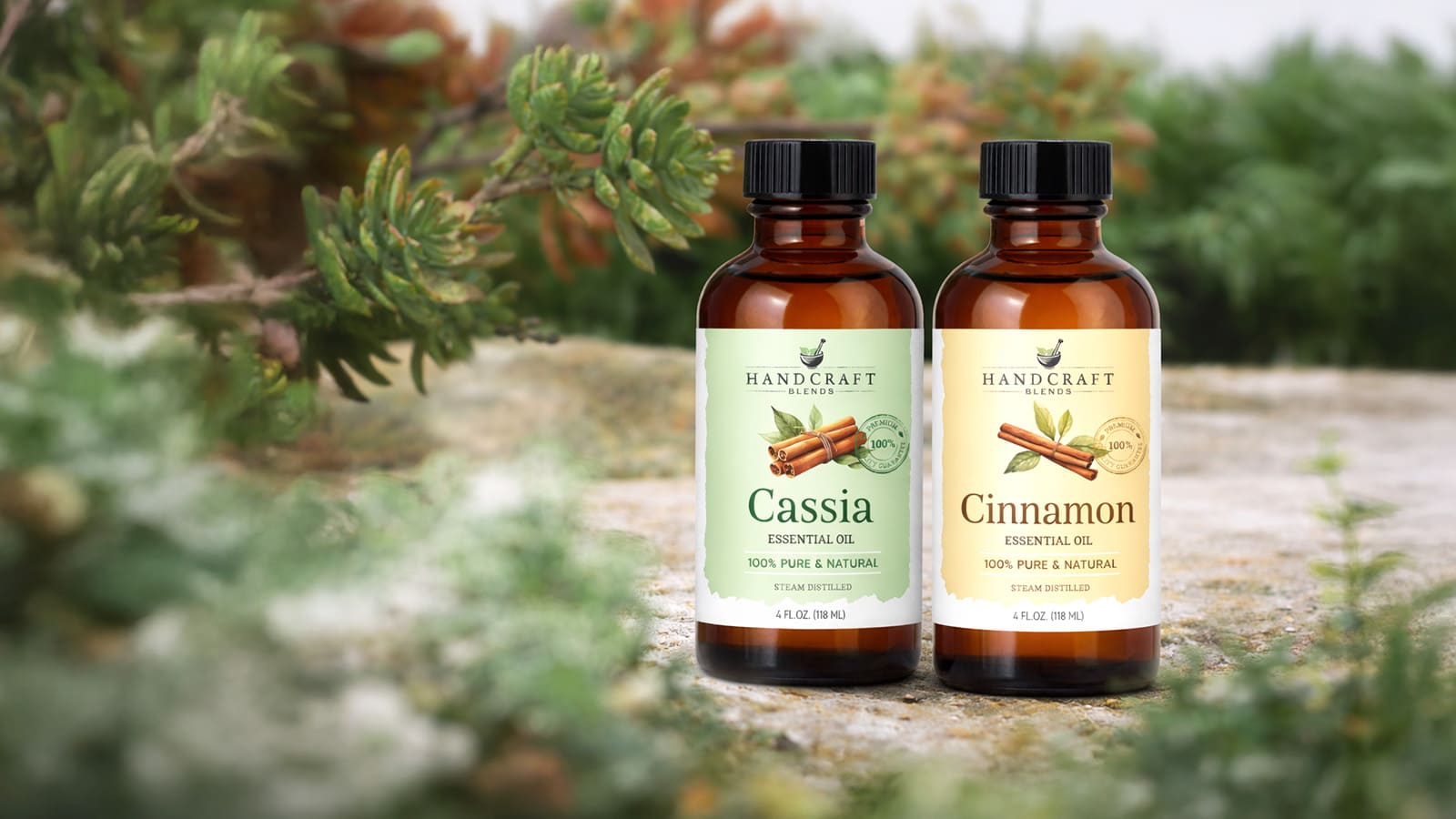 Cassia and cinnamon essential oil bottles outdoors on stone with green foliage