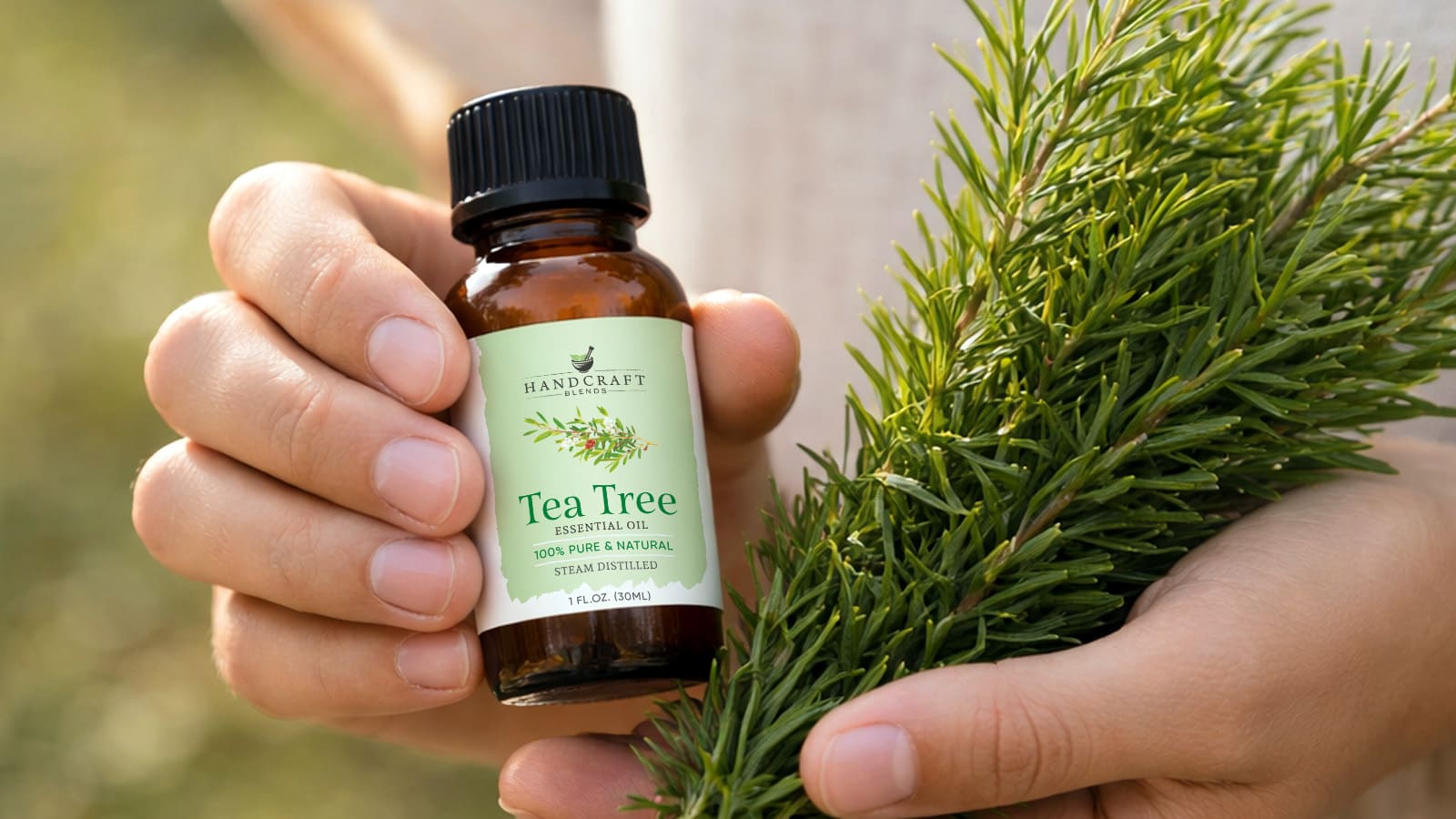 Hand holding tea tree essential oil bottle and fresh tea tree leaves outdoors