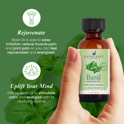 Basil Essential Oil
