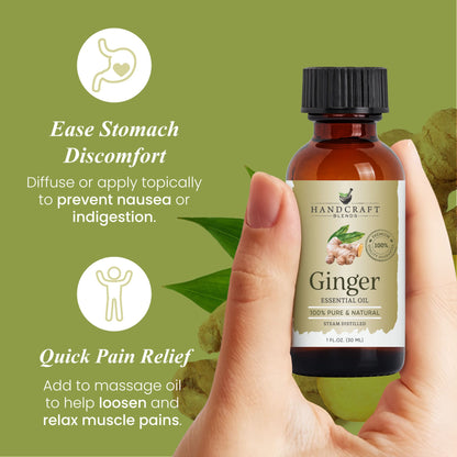 Ginger Essential Oil