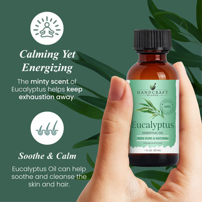 Eucalyptus Essential Oil
