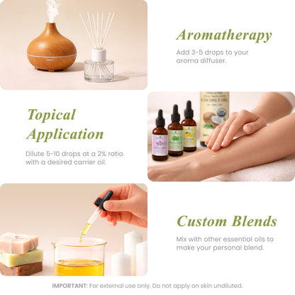 Ginger Essential Oil