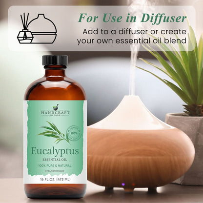 Eucalyptus Essential Oil in Glass Bottle