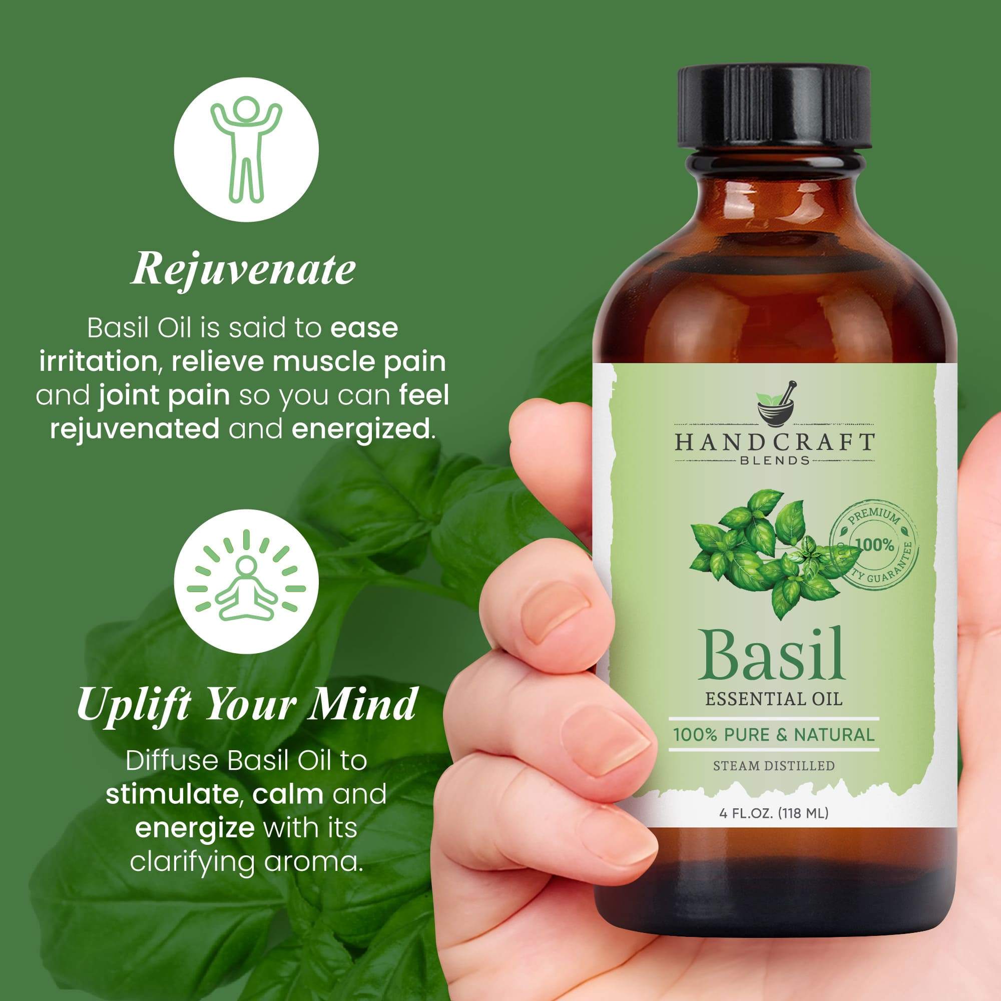 Basil essential oil culinary energy aroma