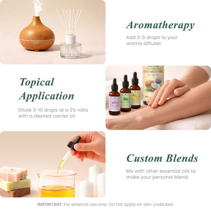 Organic Eucalyptus Essential Oil