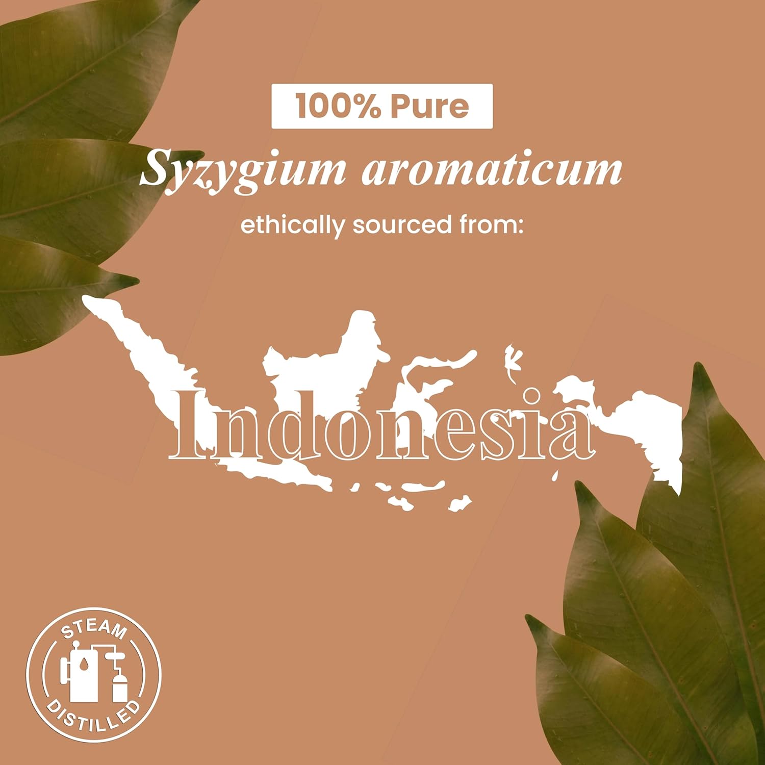 Clove Leaf Essential Oil