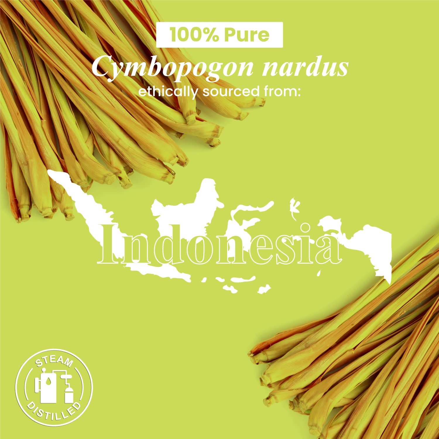 Citronella Essential Oi