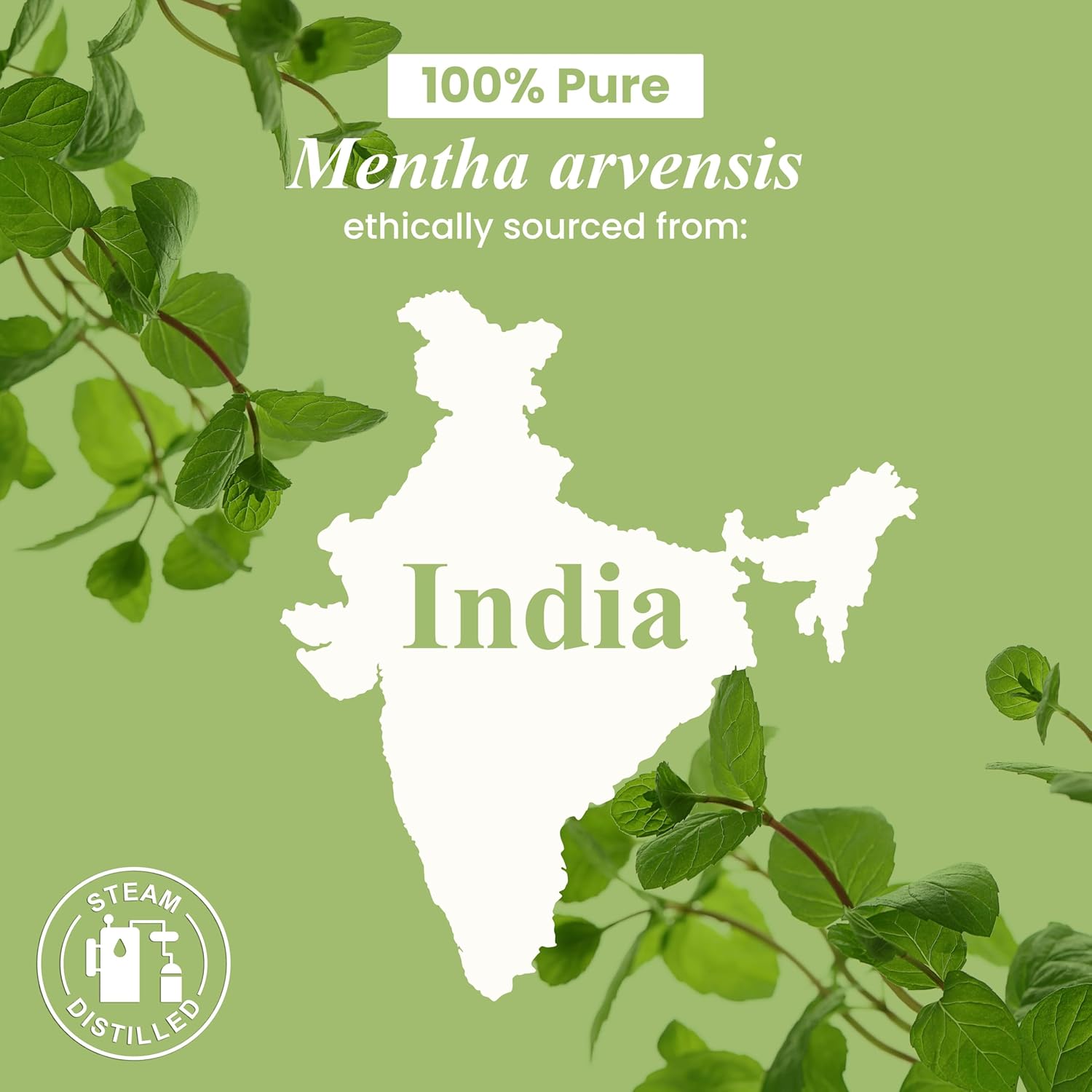 Peppermint Essential Oil