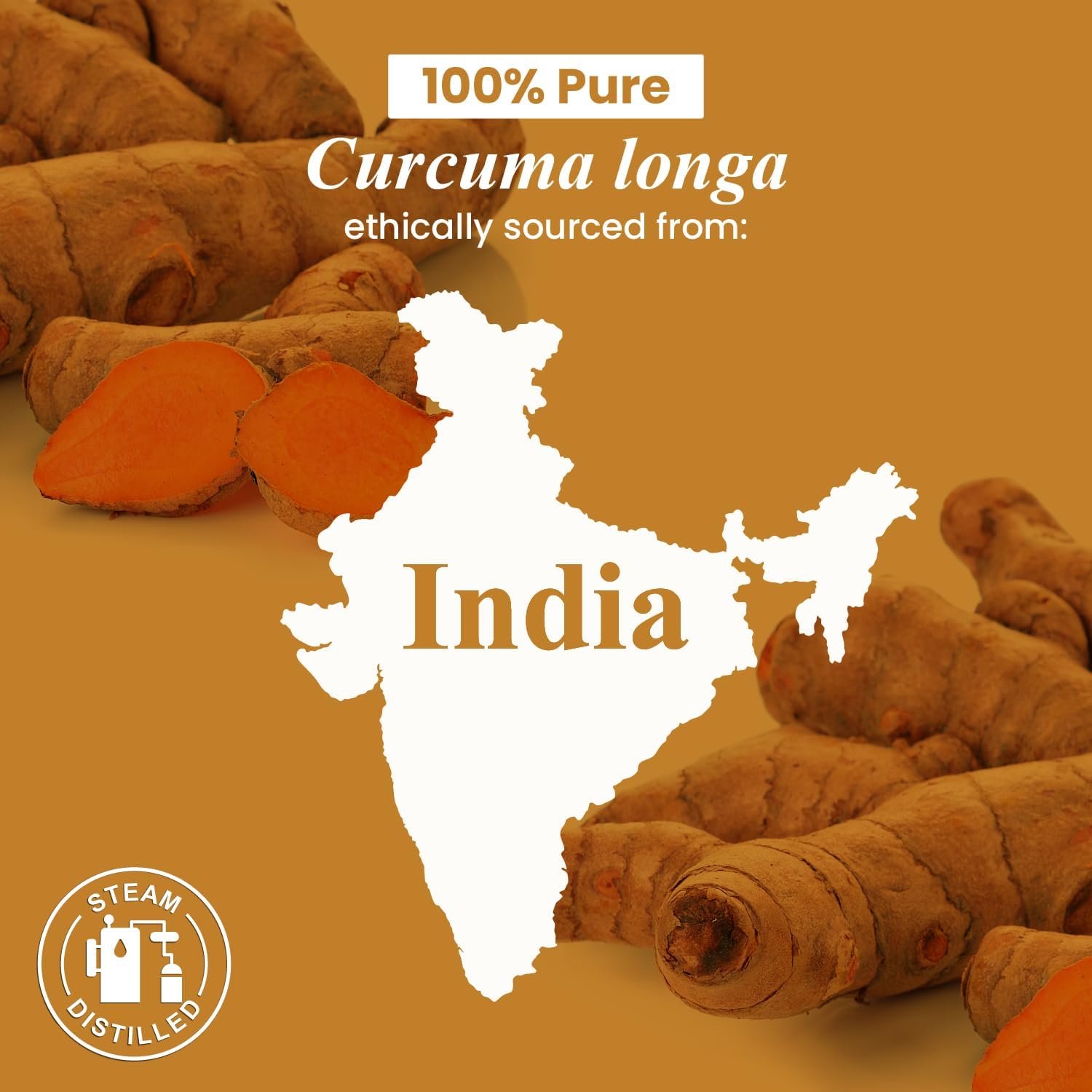 Turmeric Essential Oil