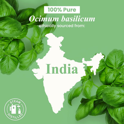Basil Essential Oil