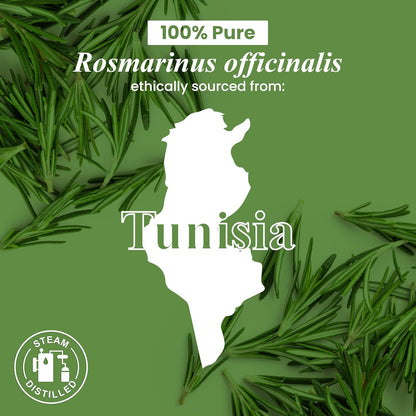 Rosemary Essential Oil