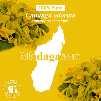 Ylang Ylang Essential Oil