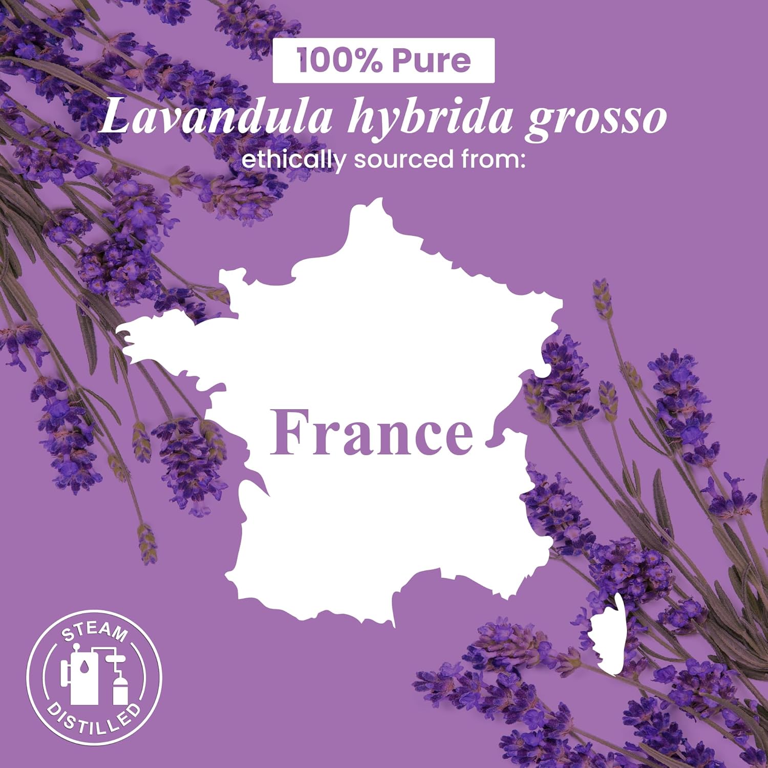 Lavender Essential Oil in Glass Bottle