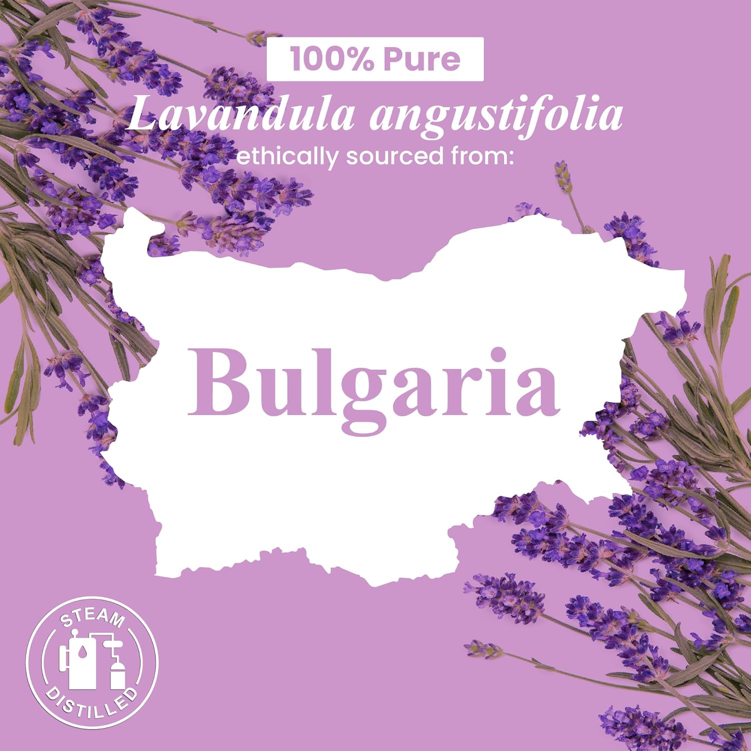 Lavender Angustifolia Essential Oil Gift Set