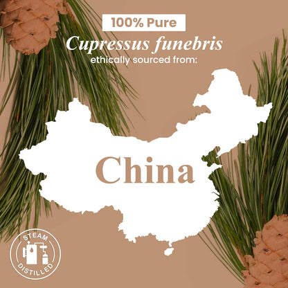 Cedarwood Essential Oil