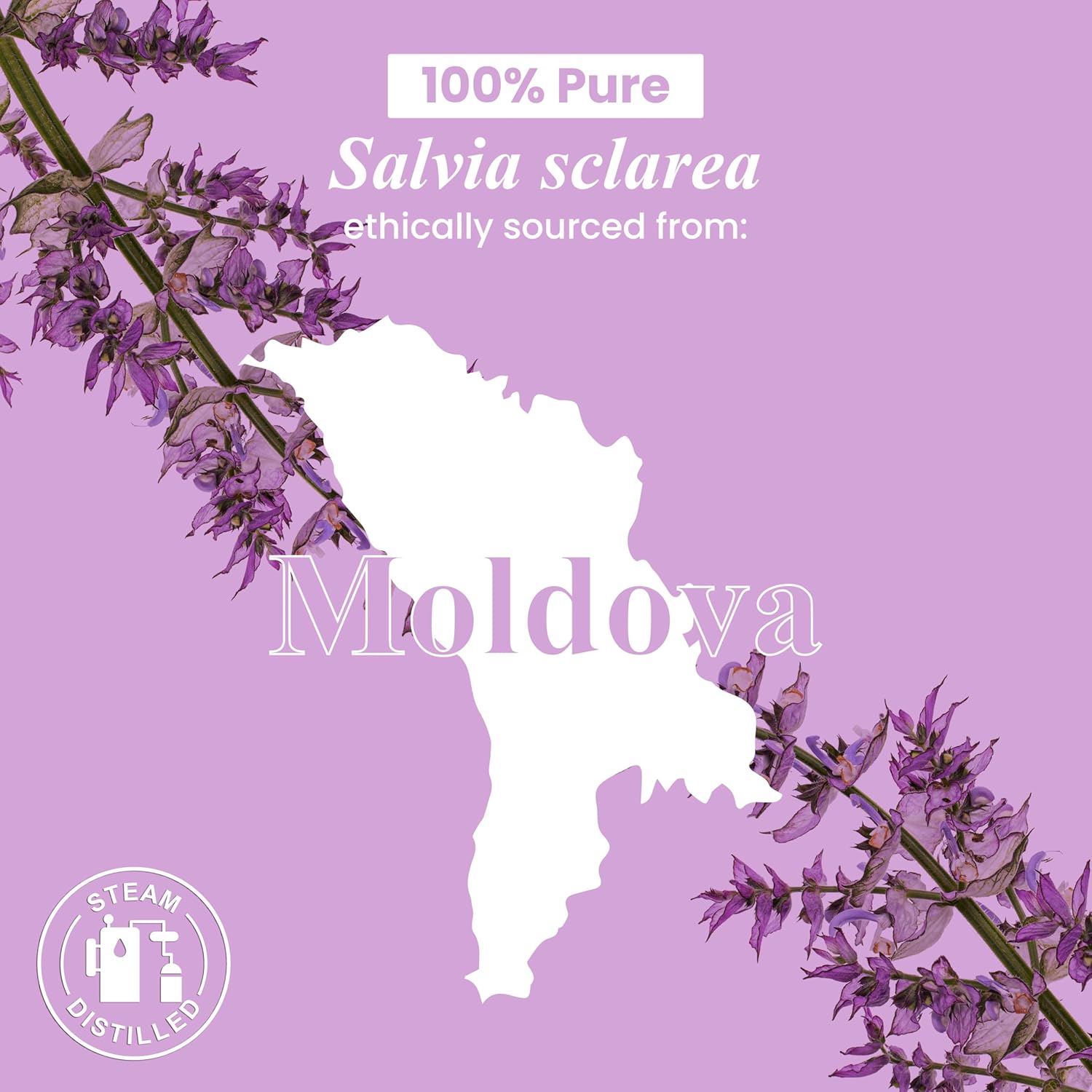 Clary Sage Essential Oil
