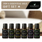 Handcraft Essential Oils Gift Set - Lavender, Peppermint, Eucalyptus, Tea Tree, Orange and Lemongrass - 10 ml