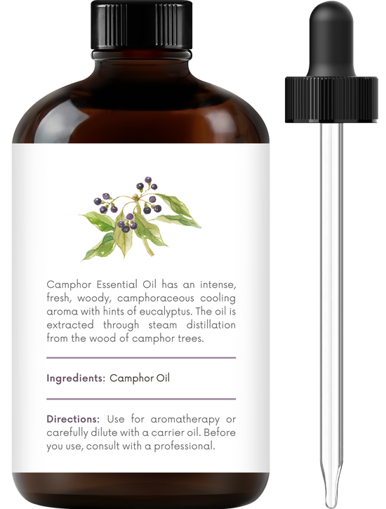 Handcraft Blends Camphor Essential Oil – Huge 4 Fl Oz – 100% Pure and Natural – Premium Grade Essential Oil for Diffuser and Aromatherapy, Skin, Massage, Candle and Soap Making Fragrance
