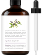Handcraft Blends Camphor Essential Oil – Huge 4 Fl Oz – 100% Pure and Natural – Premium Grade Essential Oil for Diffuser and Aromatherapy, Skin, Massage, Candle and Soap Making Fragrance