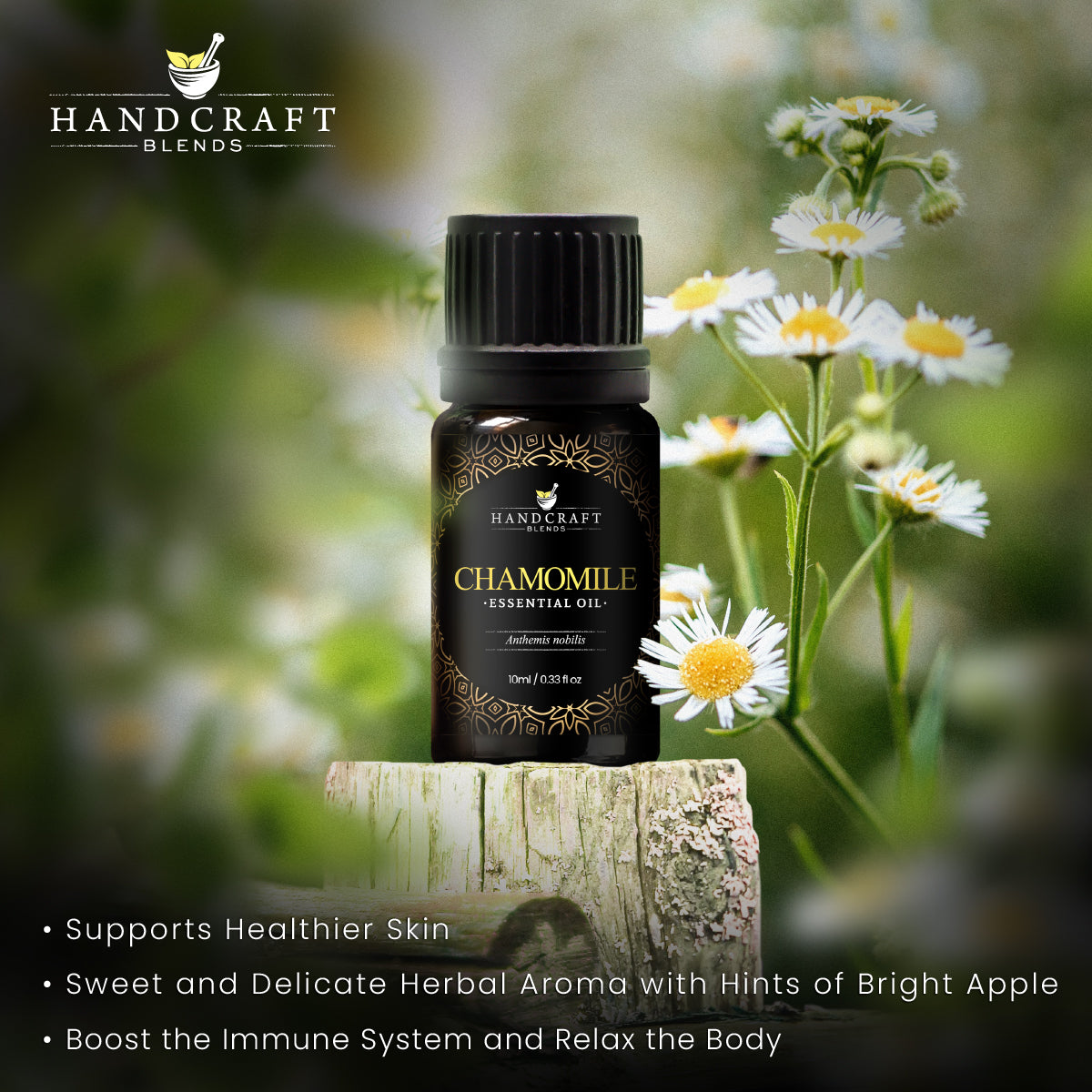 Handcraft Chamomile Essential Oil - 100% Pure and Natural - Premium Therapeutic Grade Essential Oil for Diffuser and Aromatherapy 10 ml