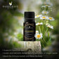 Handcraft Chamomile Essential Oil - 100% Pure and Natural
