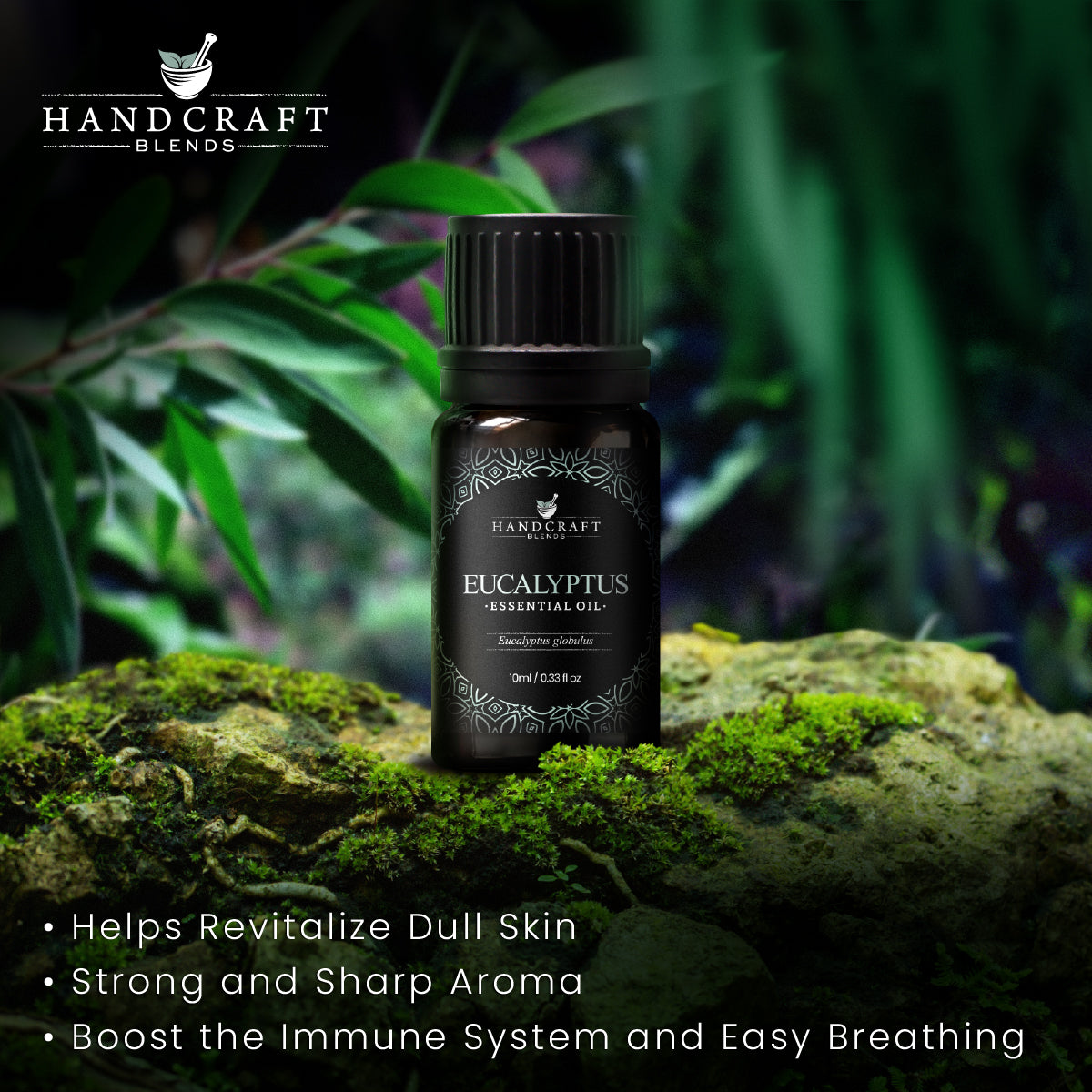 Handcraft Blends Handcraft Protect Essential Oil Blend 0.33 Fl Oz -  Essential Oils for Diffusers for Home - Immune Support Essential Oil for Men