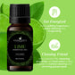 Handcraft Lime Essential Oil - 100% Pure and Natural