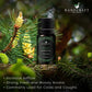 Handcraft Pine Scotch Essential Oil - 100% Pure and Natural