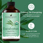 Handcraft Organic Eucalyptus Essential Oil - 100% Pure & Natural - 1 Fl. Oz