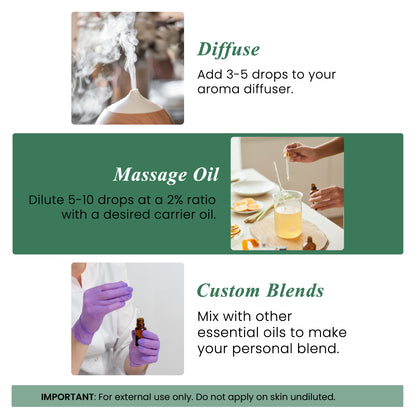 Organic Eucalyptus Essential Oil