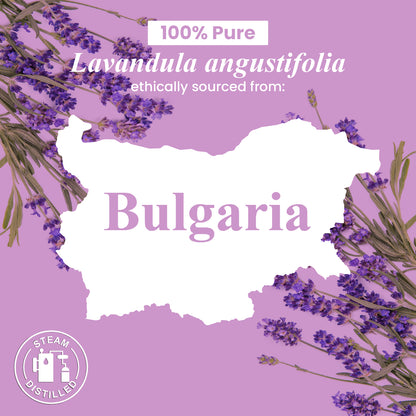 Organic Lavender Essential Oil