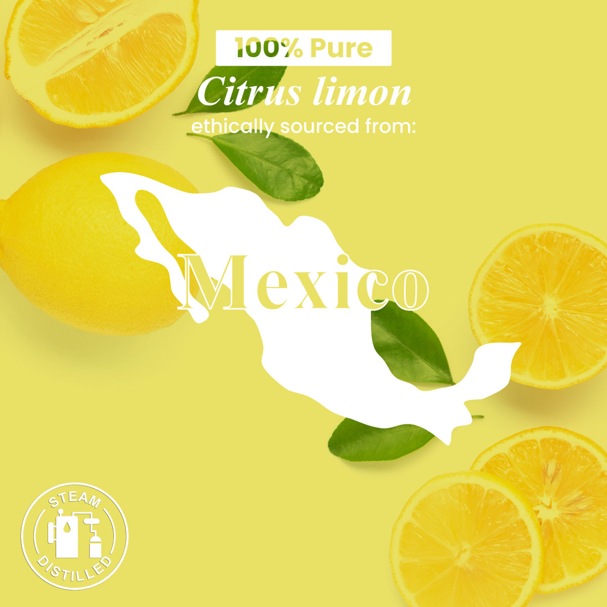 Organic Lemon Essential Oil