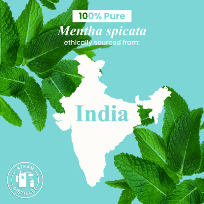 Organic Spearmint Essential Oil