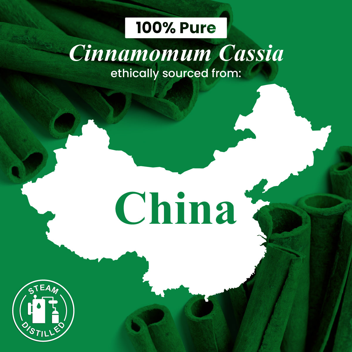 Cassia Essential Oil