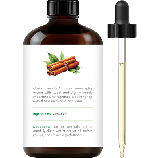 Handcraft Cassia Essential Oil - 100% Pure & Natural - 4 Fl. Oz